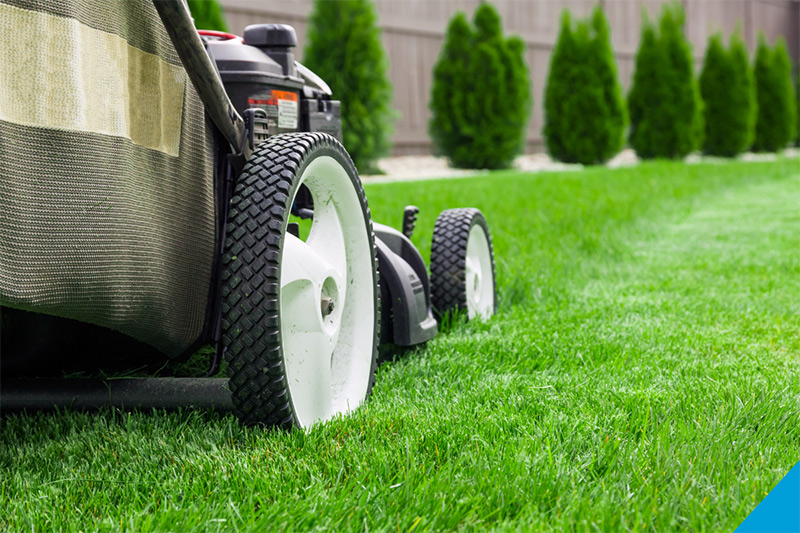 8 Best Lawn Mowers in Australia for 2023 Best Products