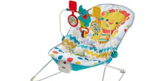 Fisher Price Baby's Bouncer Review