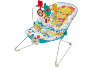 Fisher Price Baby's Bouncer Review