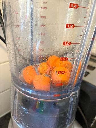 Breville BBL620 Fresh and Furious Blender Review- chop 1