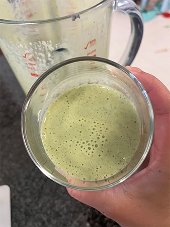 Breville BBL620 Fresh and Furious Blender Review - green smoothie 2